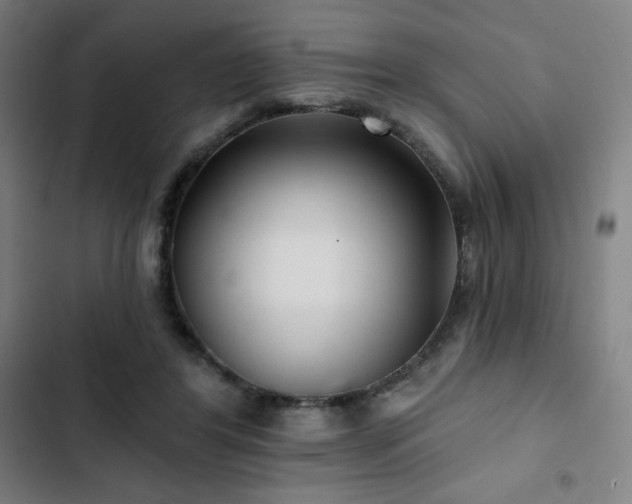 X0000103320404200809051152