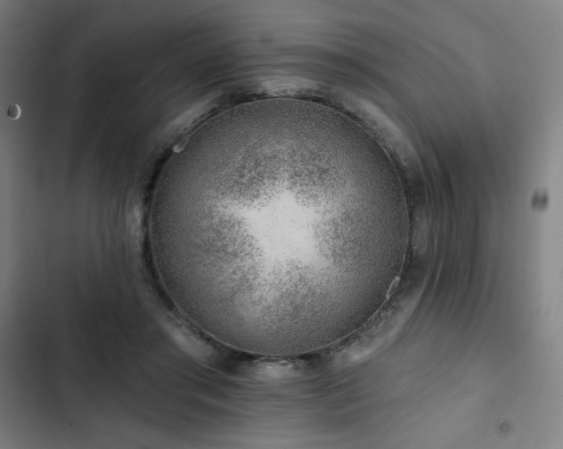 X0000103320405200809051152