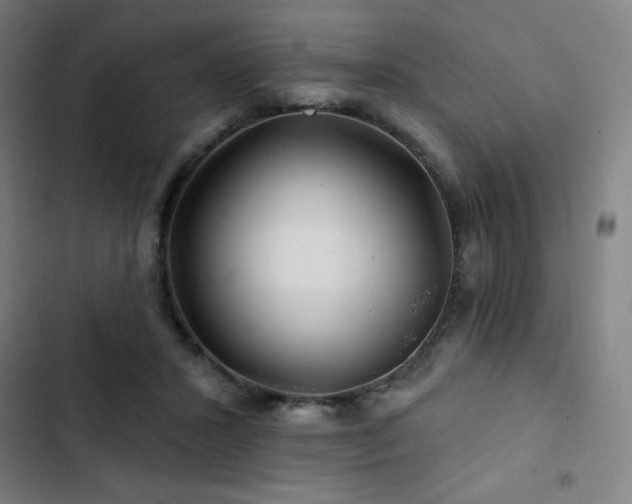 X0000103320407200809051152