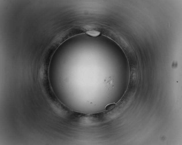 X0000103320408200809051152