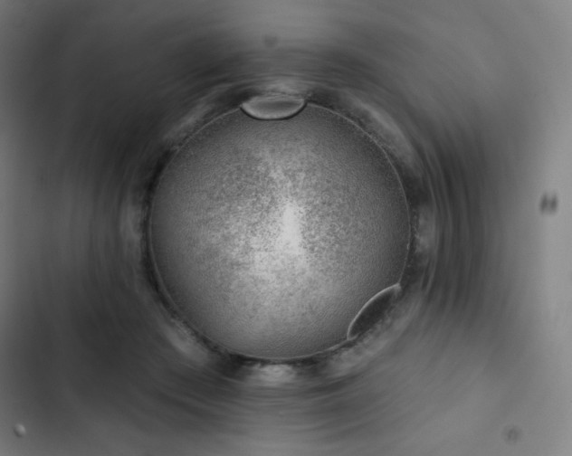 X0000103320409200809051151