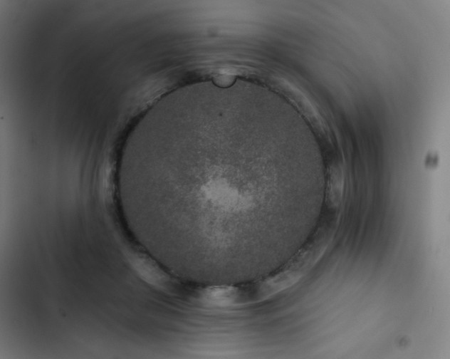 X0000103320410200809051151