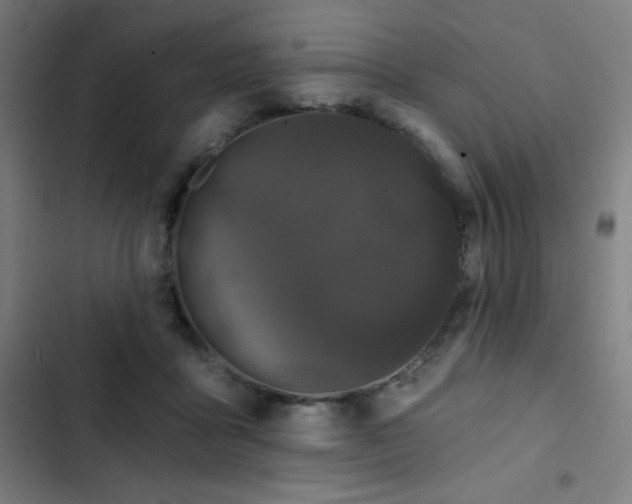 X0000103320411200809051151