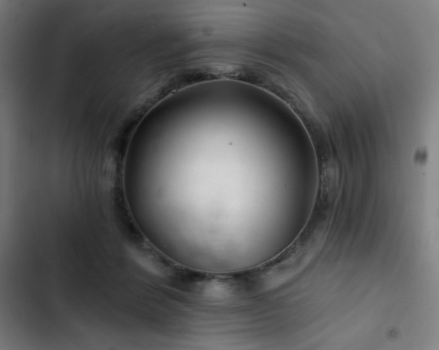 X0000103320412200809051151