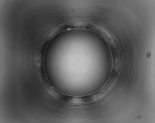 X0000103320413200809051151