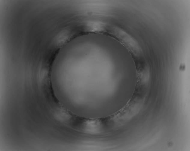 X0000103320415200809051151