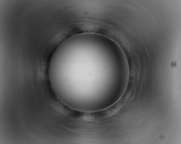 X0000103320416200809051151