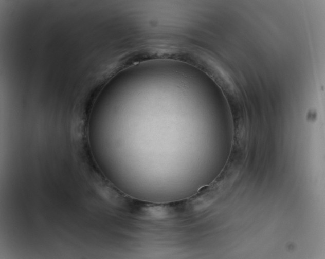 X0000103320417200809051151