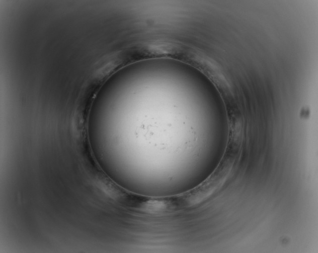 X0000103320418200809051151