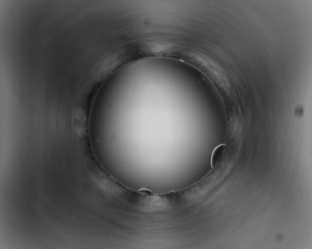 X0000103320421200809051151