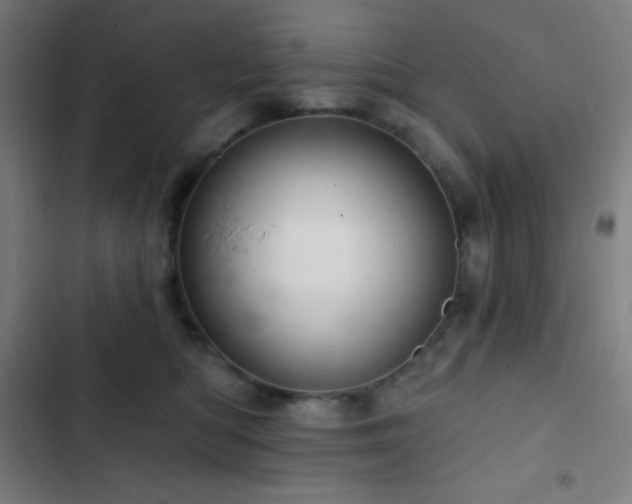 X0000103320422200809051151