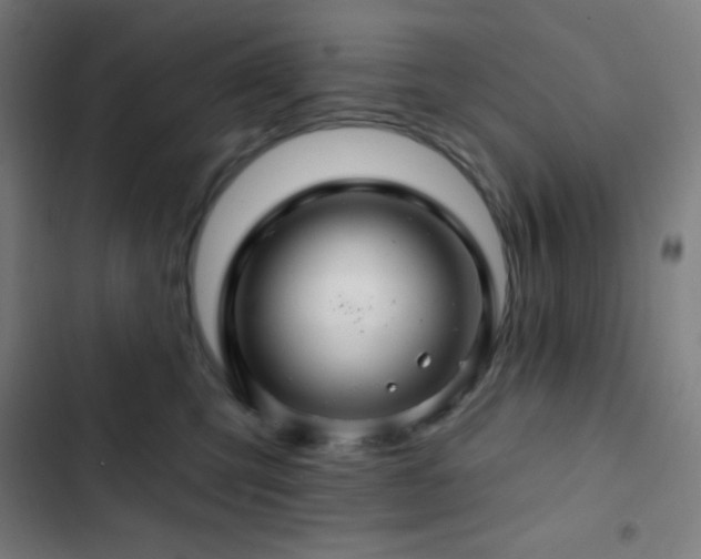 X0000103320423200809051151