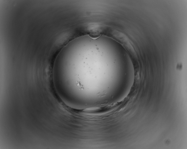 X0000103320424200809051151