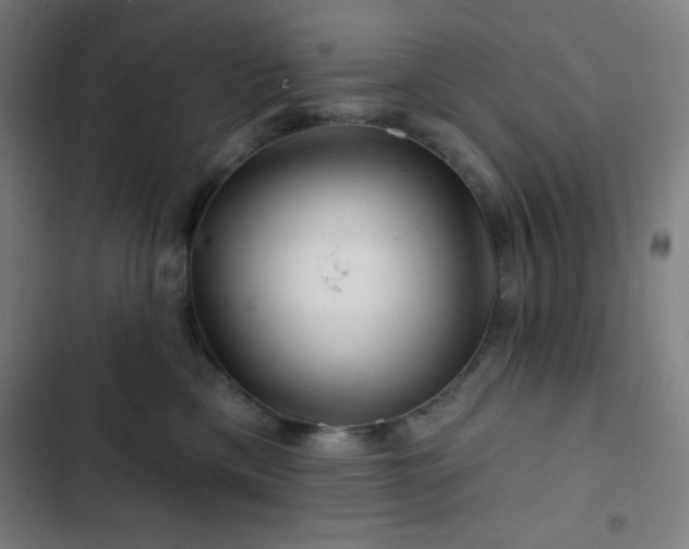 X0000103320425200809051151