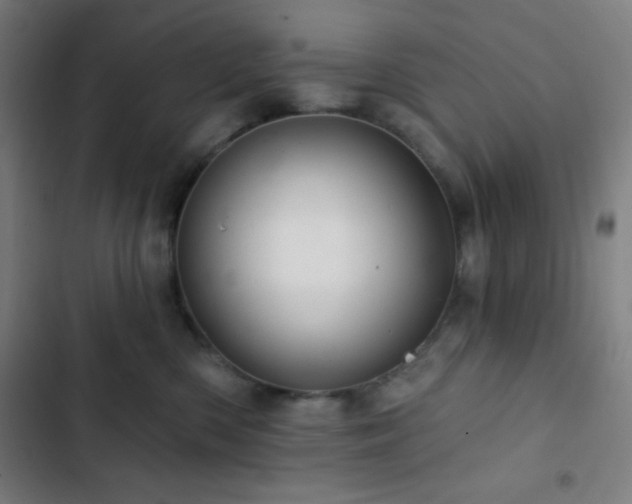 X0000103320426200809051151