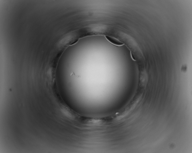 X0000103320428200809051151