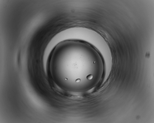 X0000103320429200809051151