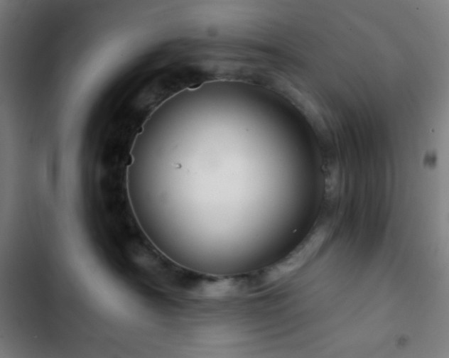 X0000103320430200809051151