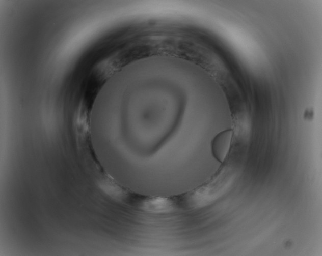 X0000103320431200809051151