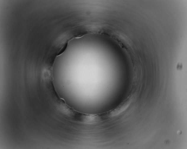 X0000103320432200809051151