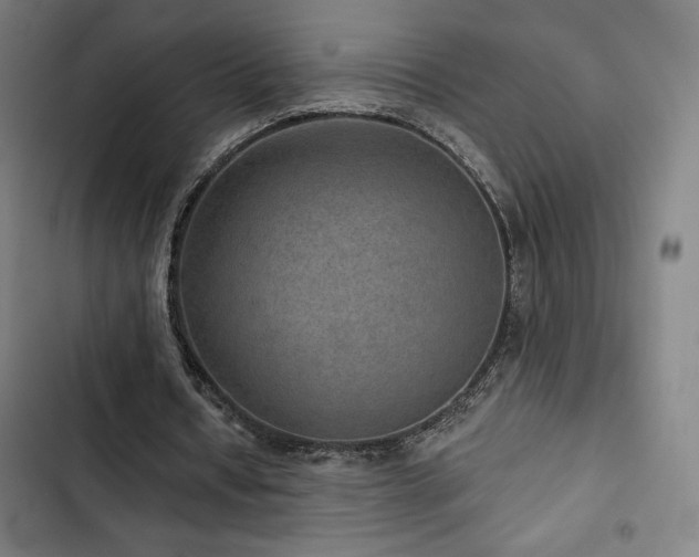 X0000103320434200809051151