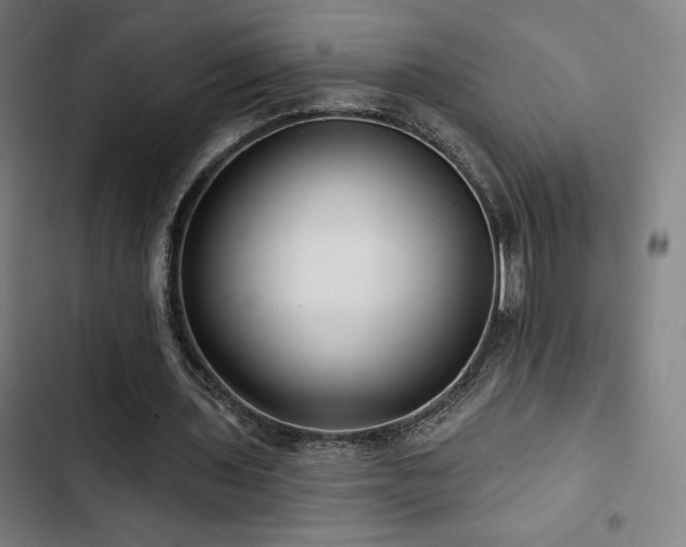 X0000103320435200809051151