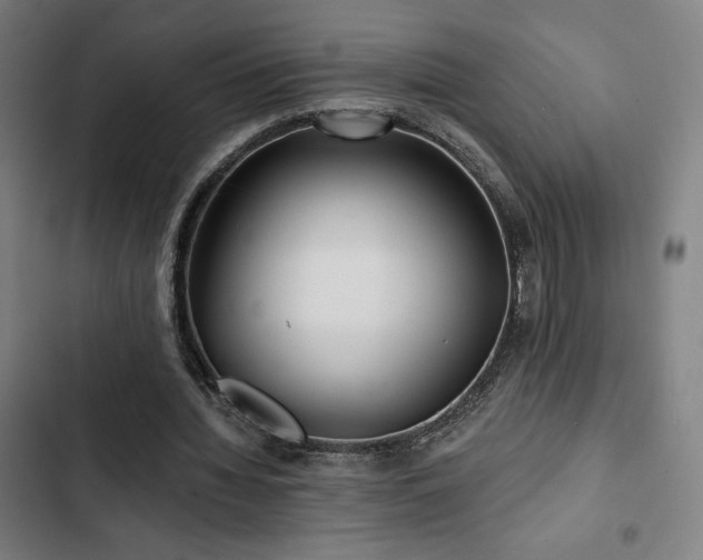 X0000103320436200809051151