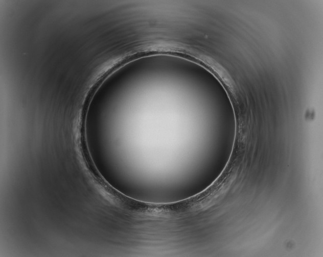 X0000103320437200809051151