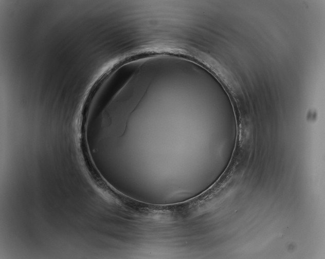 X0000103320438200809051151