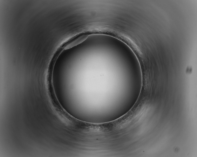 X0000103320439200809051151