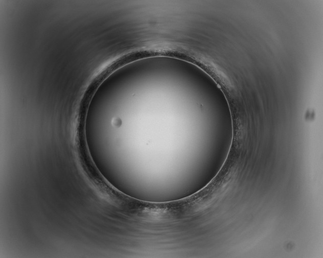 X0000103320440200809051151