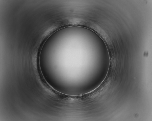 X0000103320442200809051151