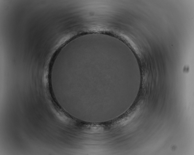 X0000103320443200809051151