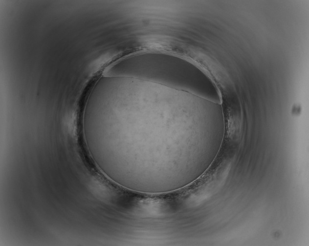 X0000103320444200809051151