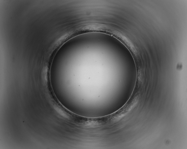 X0000103320445200809051151