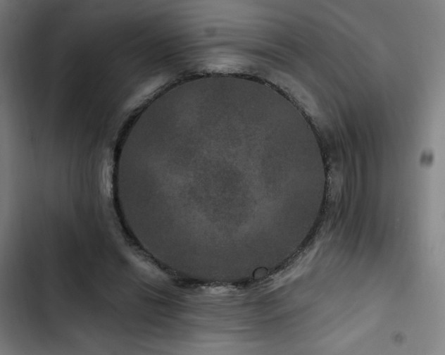 X0000103320446200809051151