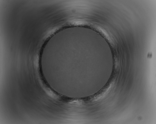 X0000103320447200809051151