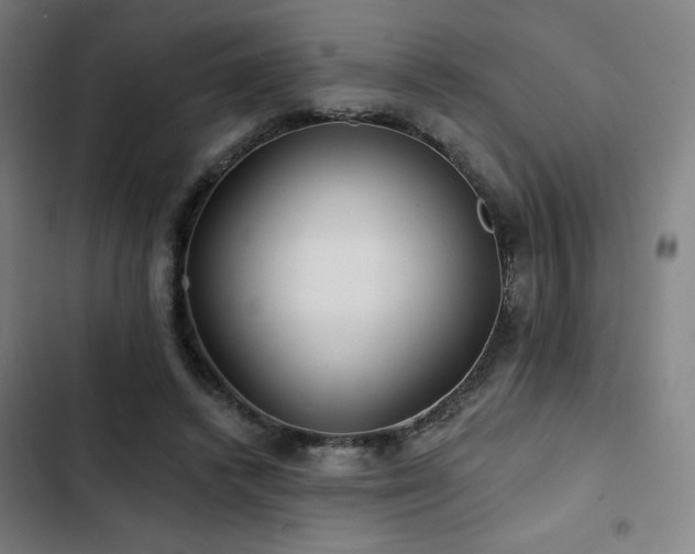 X0000103320448200809051151