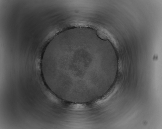 X0000103320449200809051151