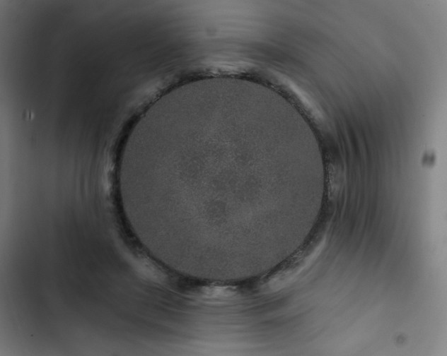 X0000103320451200809051151