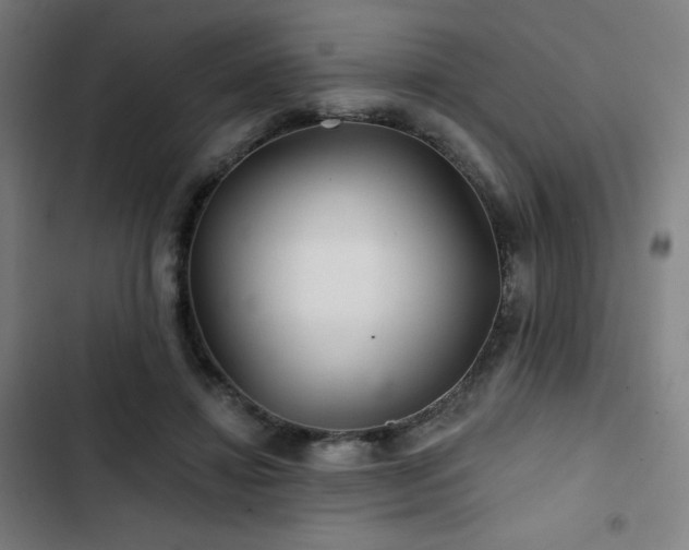 X0000103320452200809051151