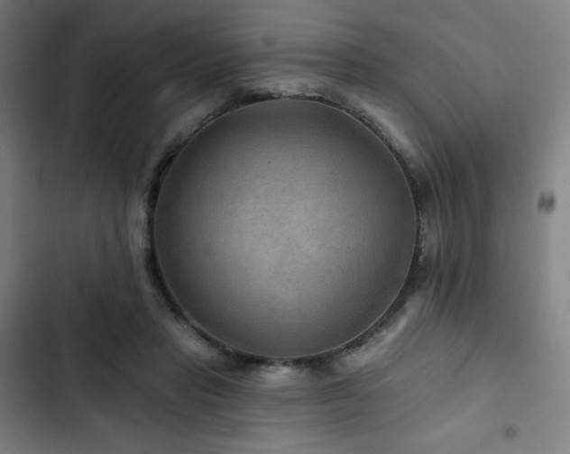 X0000103320453200809051151