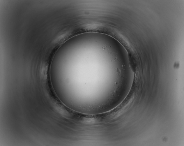 X0000103320454200809051151