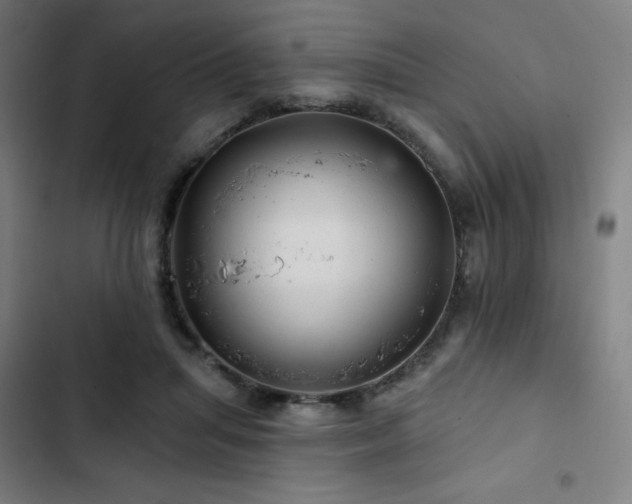 X0000103320455200809051151