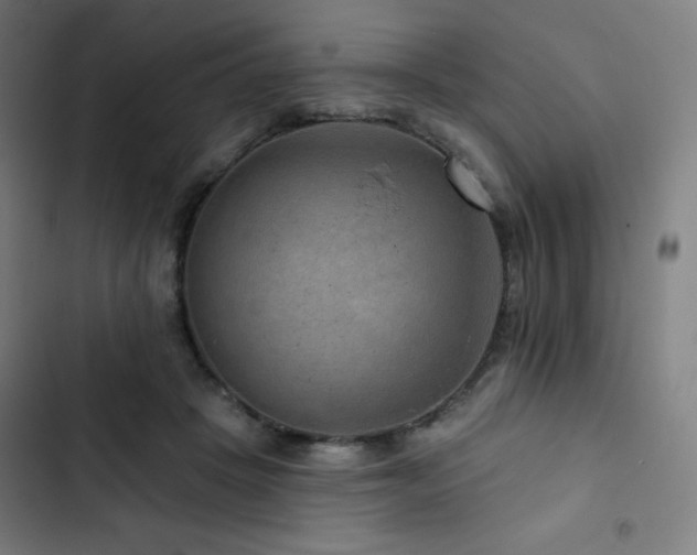 X0000103320457200809051151