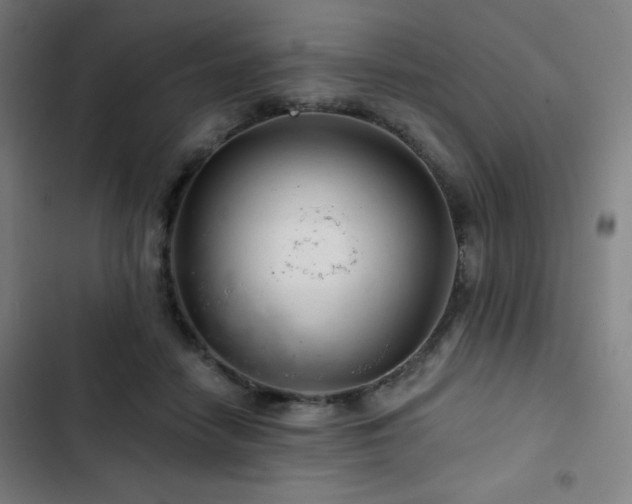 X0000103320458200809051151