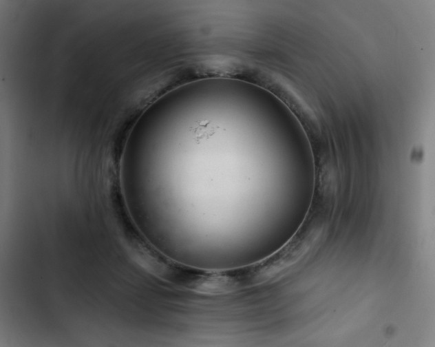 X0000103320459200809051151