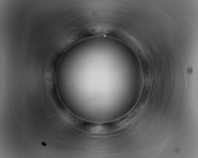 X0000103320460200809051151