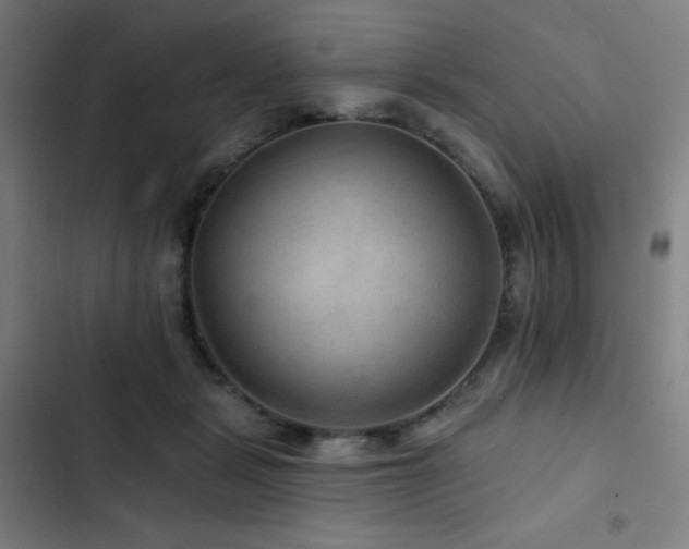 X0000103320461200809051151