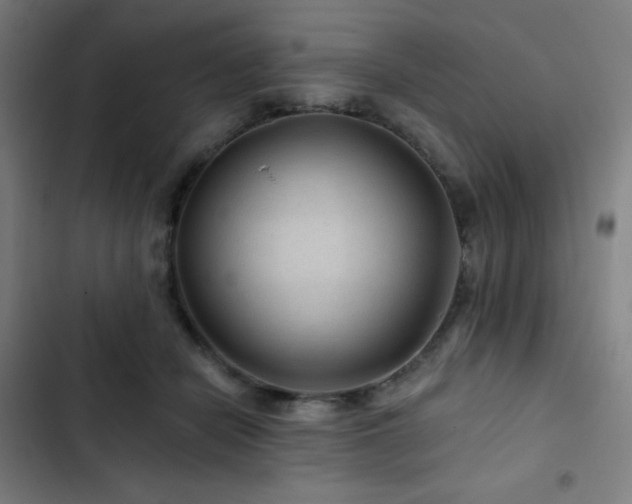 X0000103320462200809051151